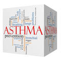 19573553_asthma_cube_from_visual_photos.