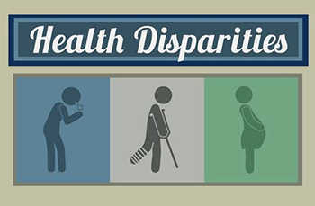 infographic segment for Index of Disparity report