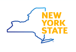 Link to the NYS updated dsrip page